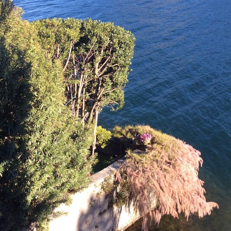 Mamma Ciccia Holiday Home - Confalonieri Mandello del Lario Eksteriør bilde